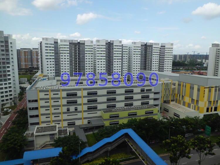 Blk 318B Anchorvale Link (Sengkang), HDB 5 Rooms #63297592